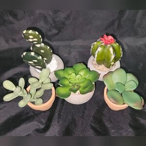 Set of Mini Succulent and Cactus Pots - Faux Plants